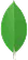 MongoDB